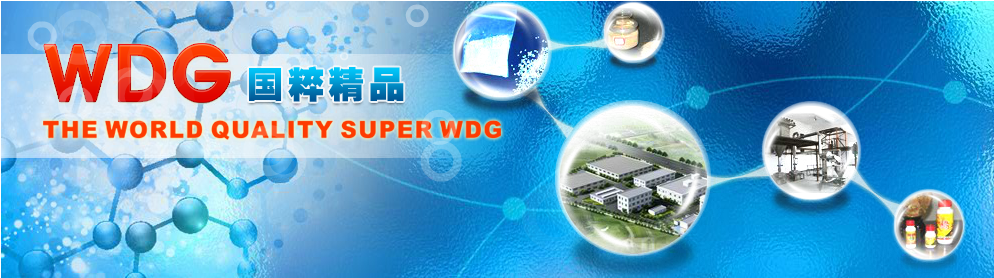 Home page banner one